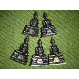 Minikujuke - Buddha - Shakuamuni Buddha 