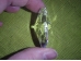 Feng Shui päikesepüüdja - keskmine kristallsüda - UUS