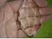 Feng Shui päikesepüüdja - suur kristall-leht - UUS