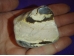 Jaspis - sebrajaspis - lihvitud Draakoni muna