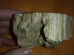 Fossiil-puu e kivistunud puit - seib - UUS