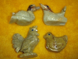 Steatiit - nikerdatud linnud - kana, pardid ja kukk