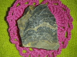 Stromatoliit - töötlemata kivistis
