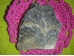 Stromatoliit - töötlemata kivistis