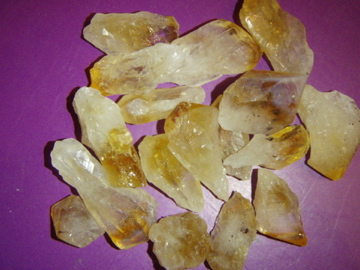 P1010125