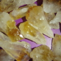 P1010126