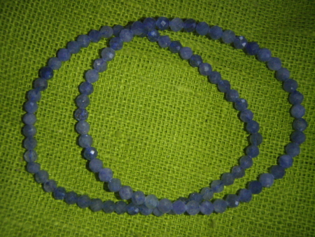 p1010113